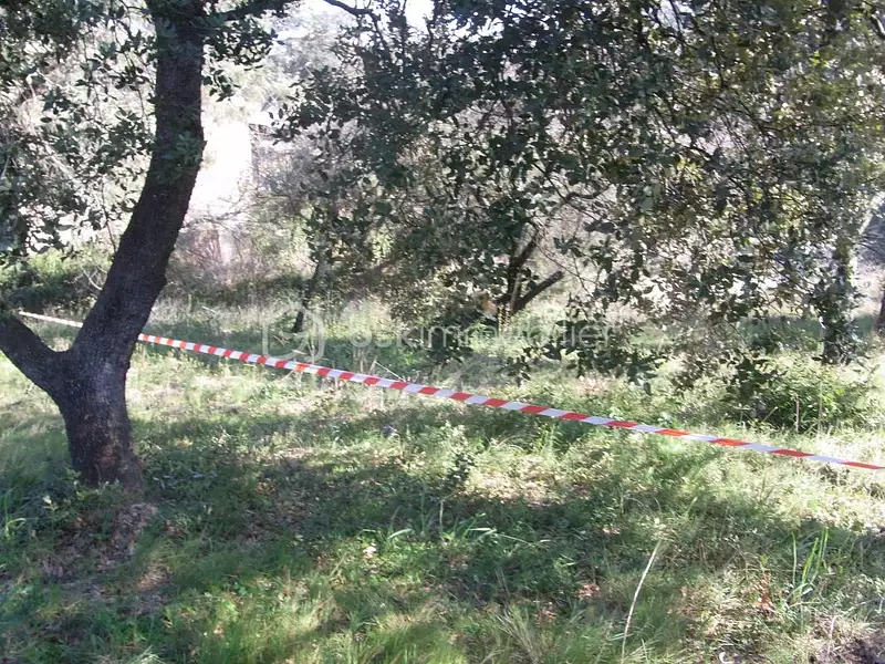 Terrain, 580 m²