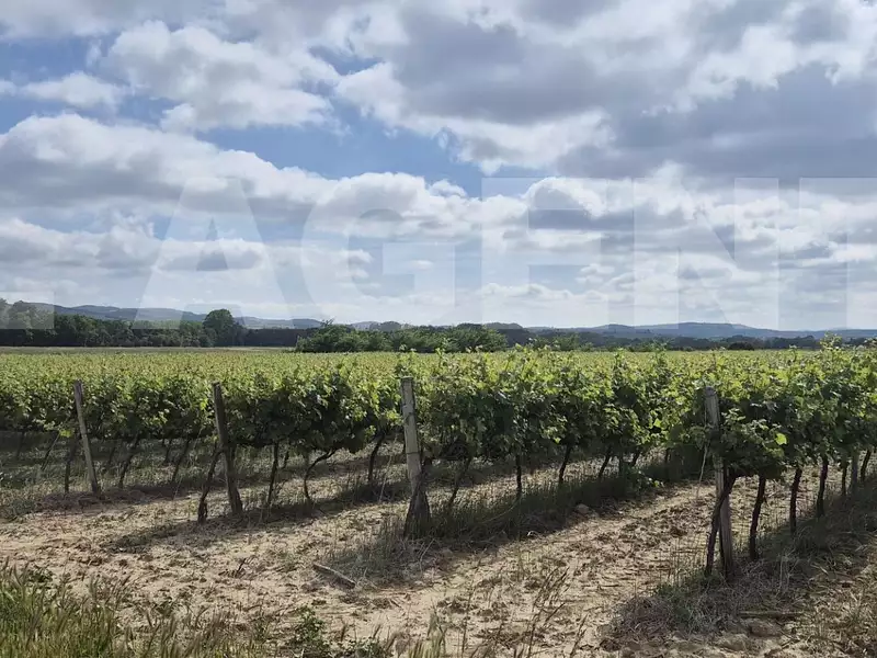 Terrain, 190 000 m²