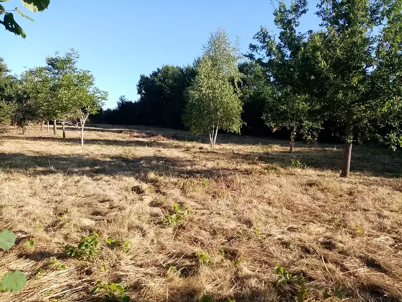 Terrain, 2 160 m²