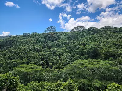 Terrain, 827 m²