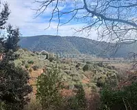 Terrain, 8 300 m²