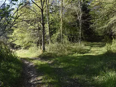Maison, 570 m²