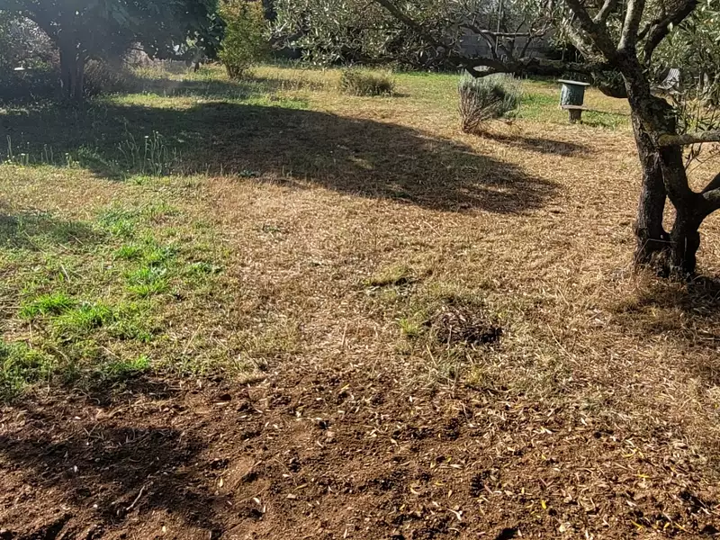 Terrain, 560 m²
