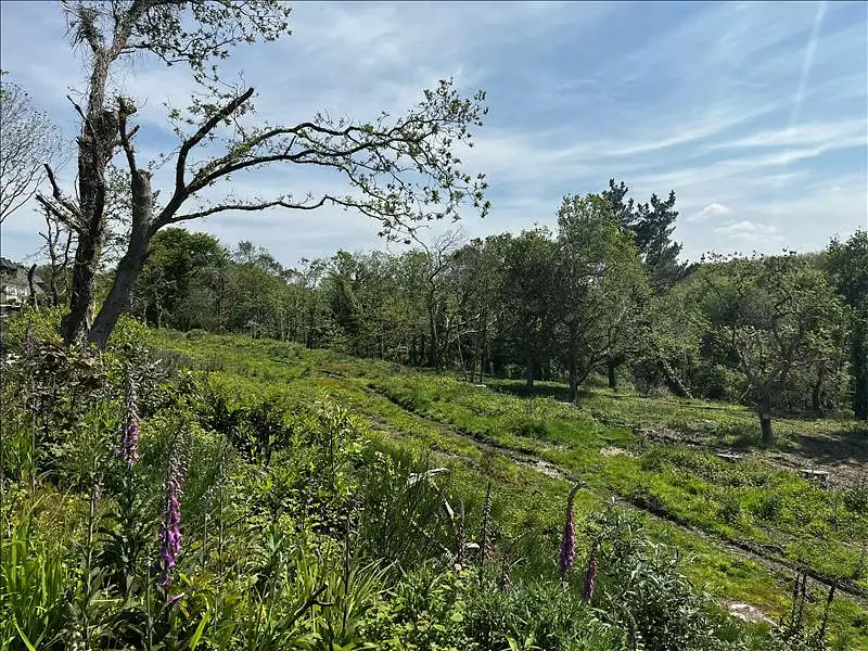 Terrain, 19 292 m²