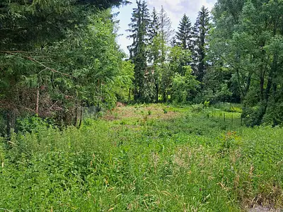 Terrain, 1 302 m²