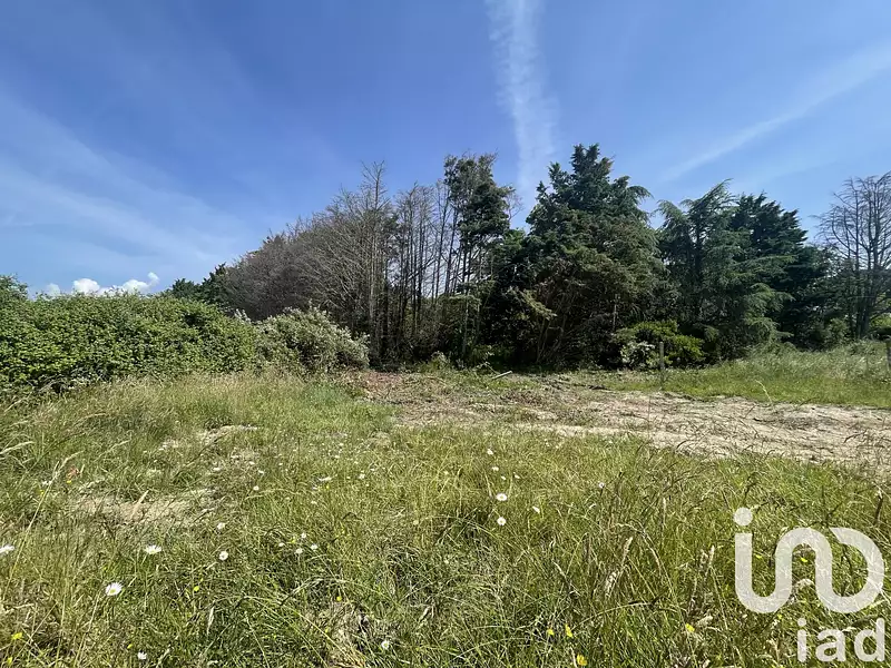 Terrain, 990 m²