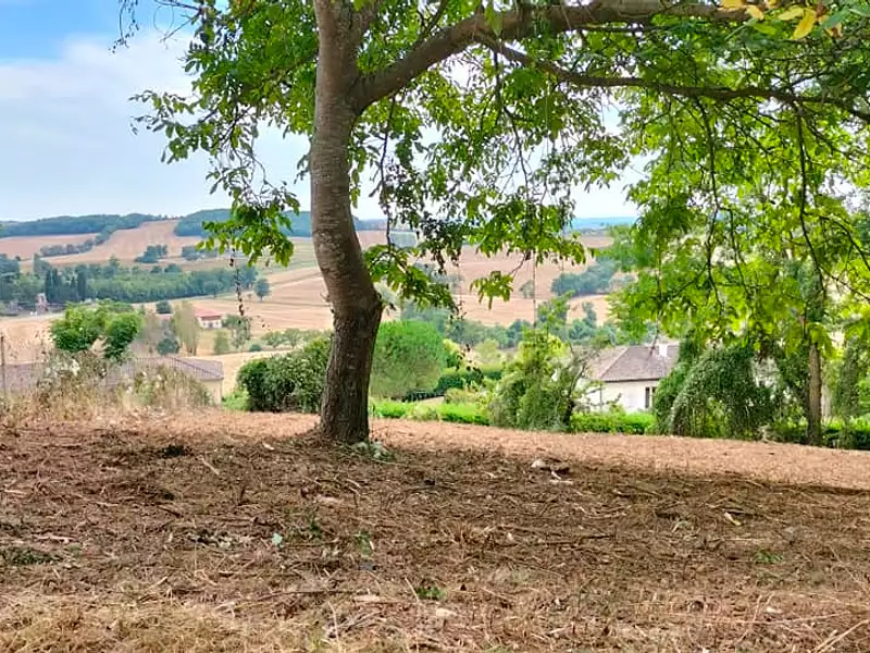 Terrain, 603 m²