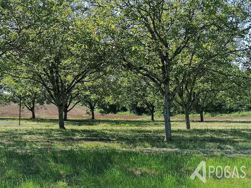 Terrain, 1 148 m²