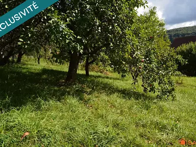 Terrain, 753 m²