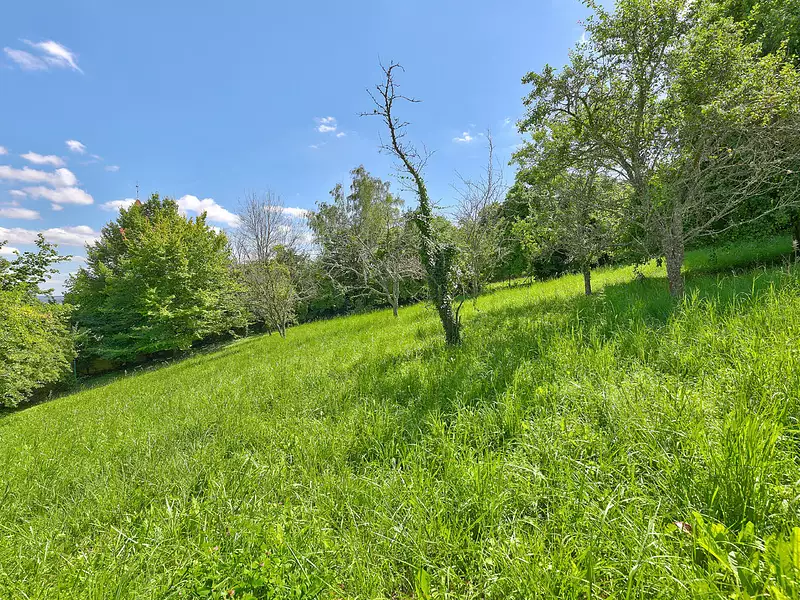 Terrain, 15 m²