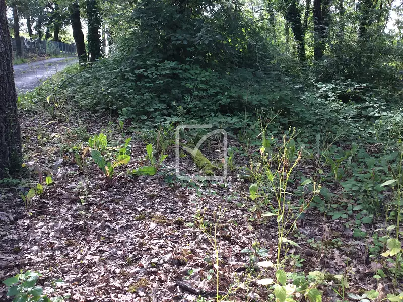 Terrain, 1 418 m²