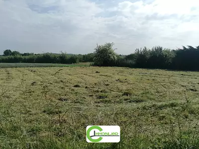 Terrain, 710 m²