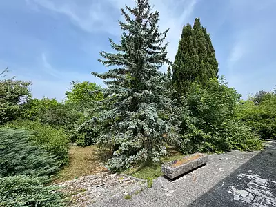 Maison, 250 m²