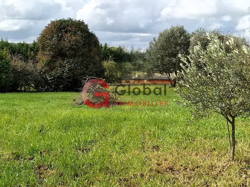 Terrain, 1 037 m²
