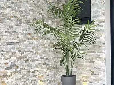 Maison, 153 m²