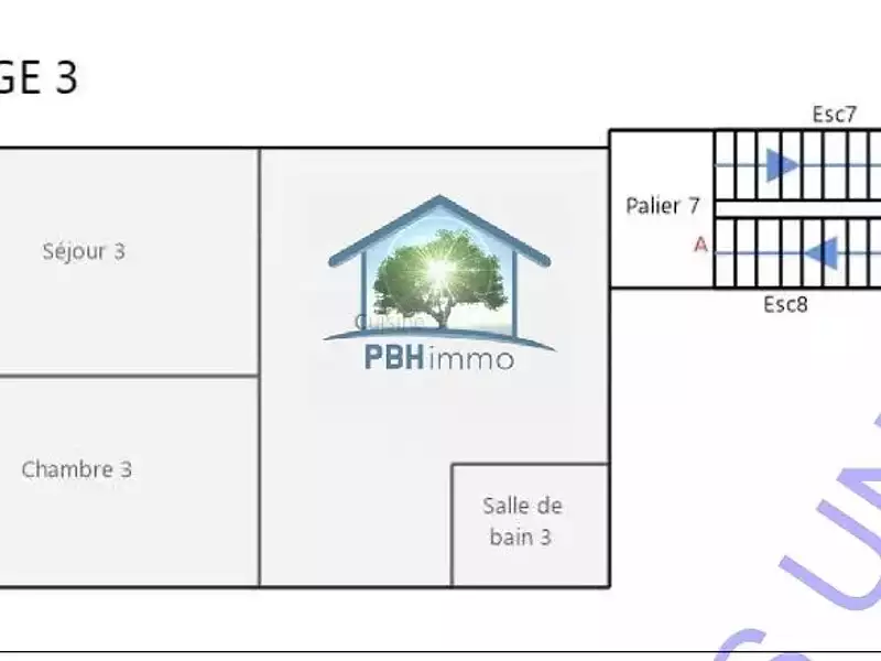 Immeuble, 219,4 m²