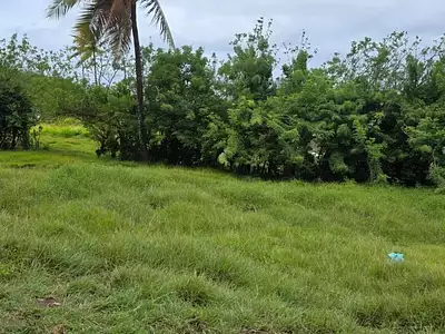 Terrain, 921 m²