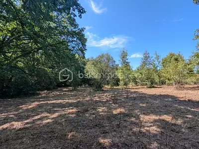 Terrain, 12 901 m²