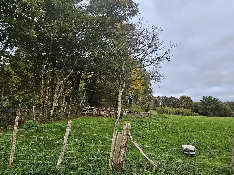 Terrain, 1 000 m²