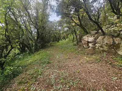 Maison, 180 m²