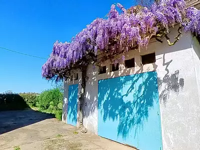 Maison, 138 m²