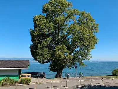 Appartement, 155,78 m²