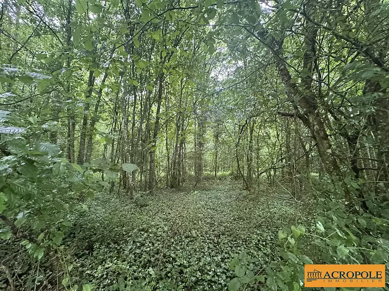 Terrain, 20 820 m²