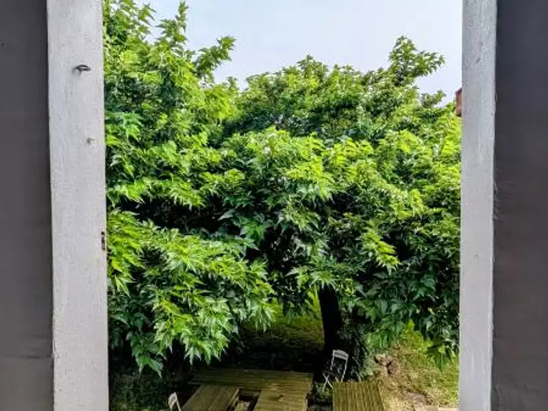 Maison, 121 m²