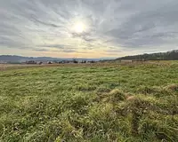 Terrain, 1 268 m²