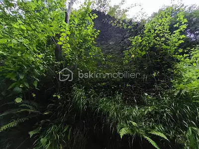 Maison, 60 m²