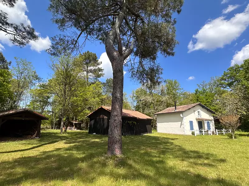 Maison, 127 m²