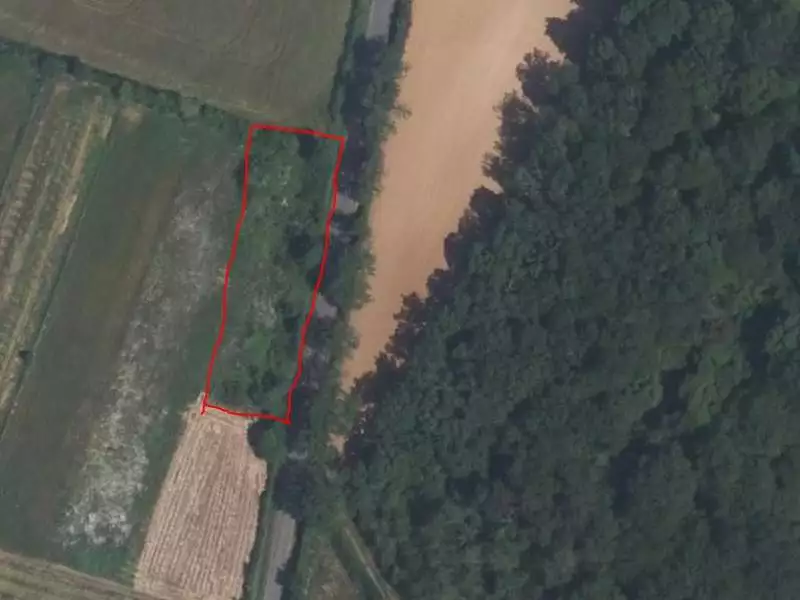 Terrain, 1 238 m²