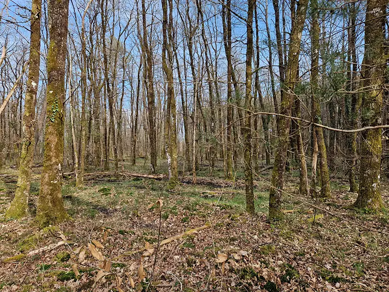 Terrain, 22 911 m²