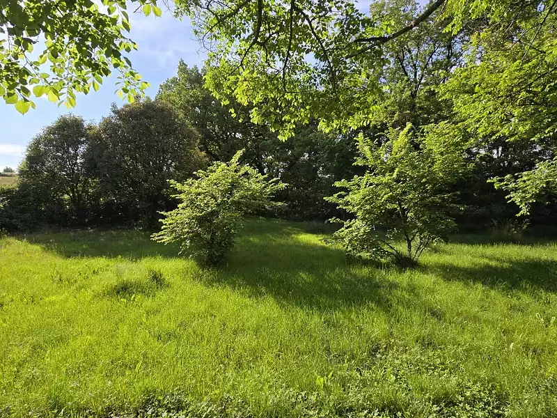 Terrain, 1 050 m²