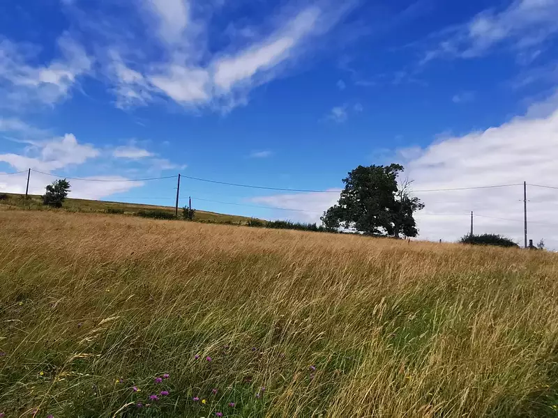 Terrain, 5 436 m²