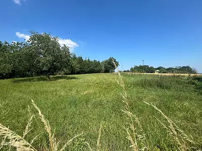 Terrain