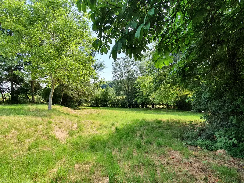 Terrain, 3 902 m²