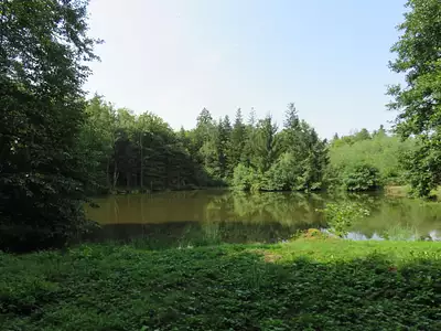 Terrain, 4 560 m²