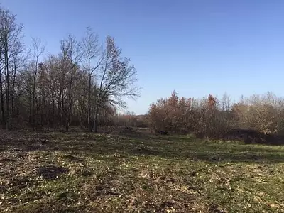 Terrain