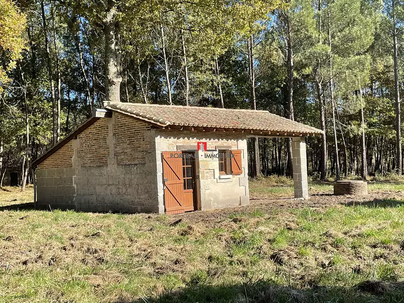 Terrain, 154 100 m²