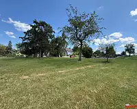 Terrain