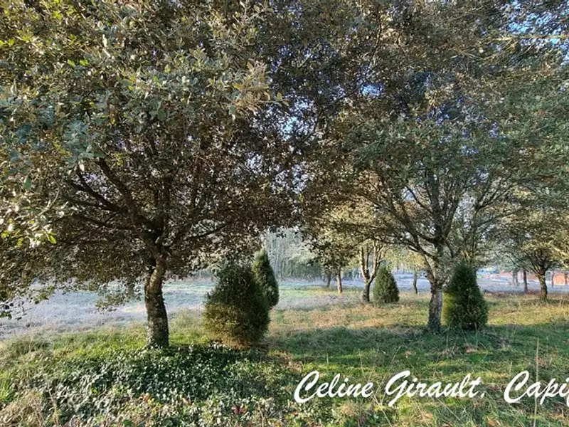 Terrain, 3 153 m²
