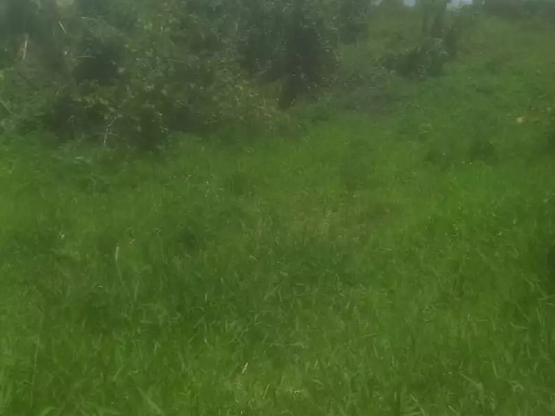 Terrain, 670 m²