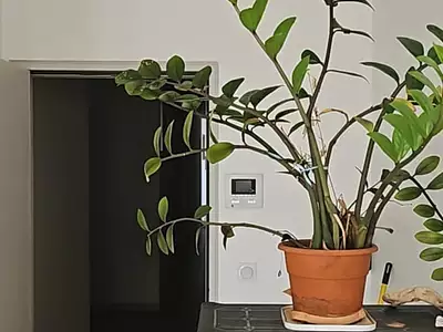 Appartement, 50 m²