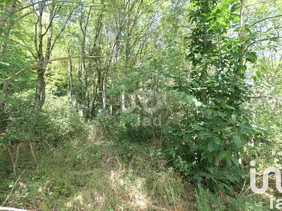 Terrain, 1 288 m²