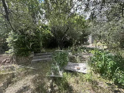 Terrain, 35 m²