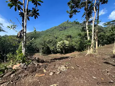 Terrain, 1 600 m²