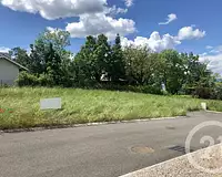 Terrain