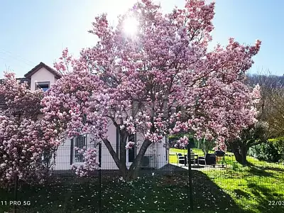 Maison, 118 m²