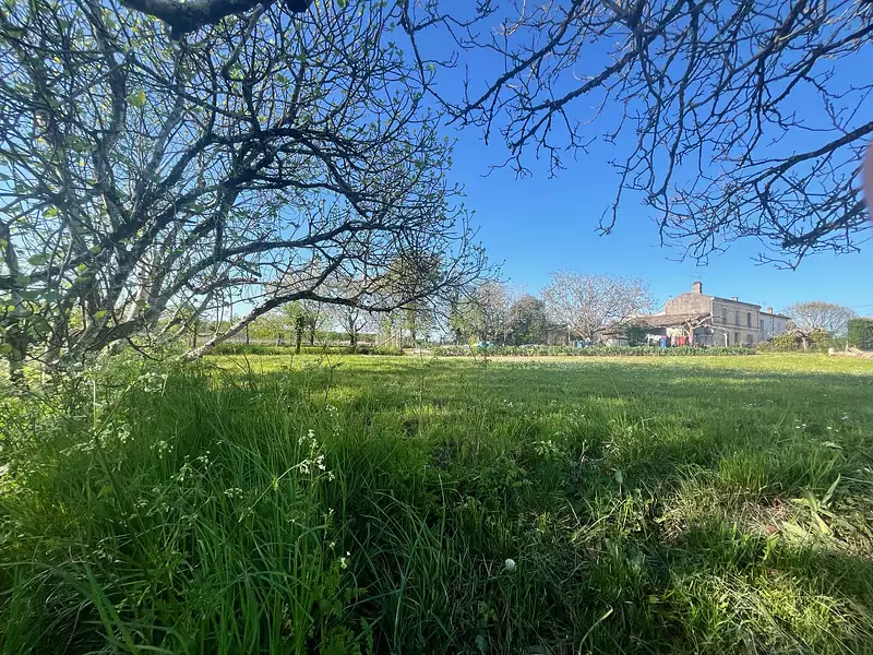 Terrain, 807 m²
